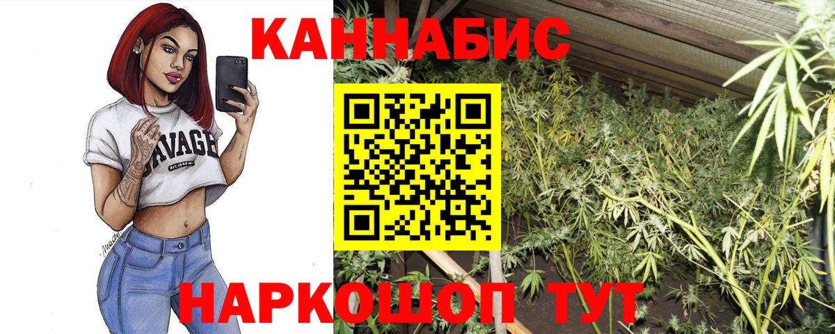 МАРИХУАНА OG Kush  Канабис White Widow  Вход с VPN  Новосибирск 